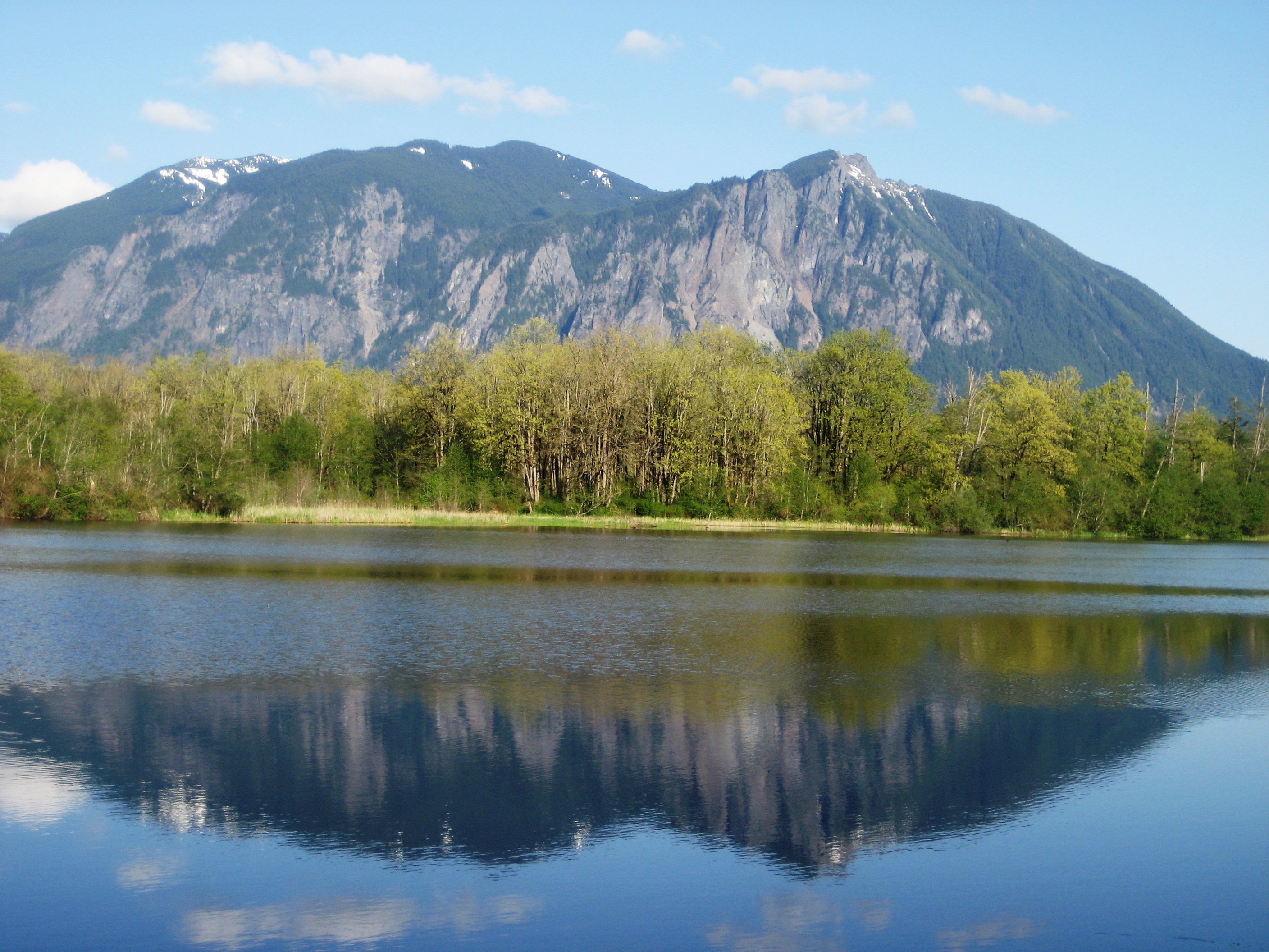 A mountain with a line of green trees in front of it. It is reflected in the pond in front of it.